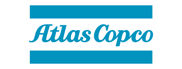 logo 30